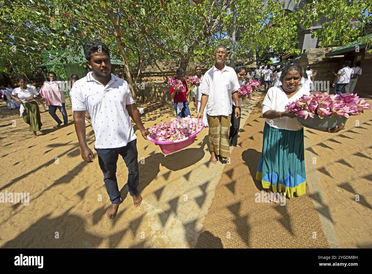 Pèlerins sri-lankais avec des fleurs de lotus roses dans la ville sainte d'Anuradhapura, Province du Centre Nord, Sri Lanka, Asie Banque D'Images