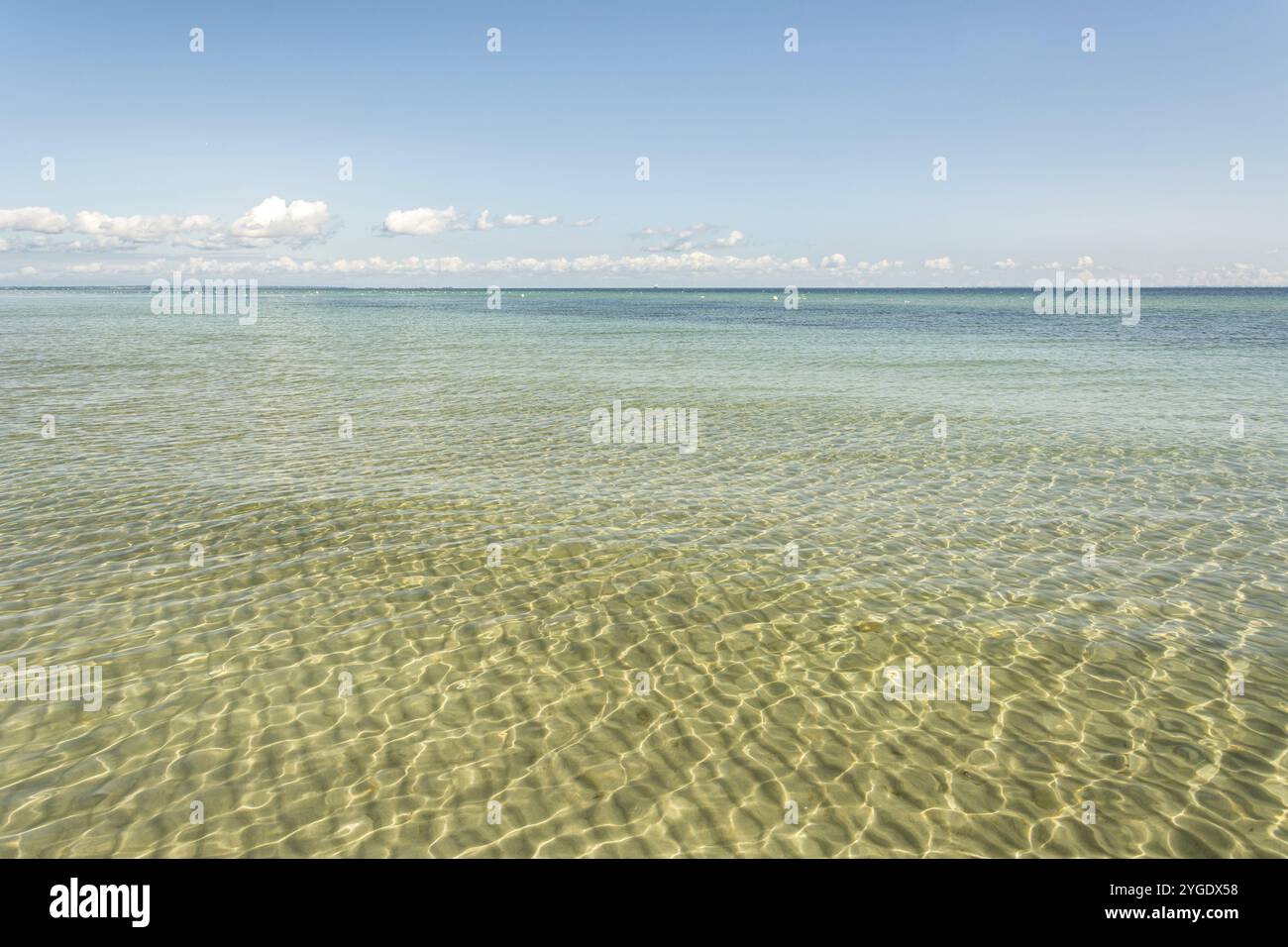 Vue panoramique sur les eaux calmes, claires et peu profondes de la mer Baltique Banque D'Images