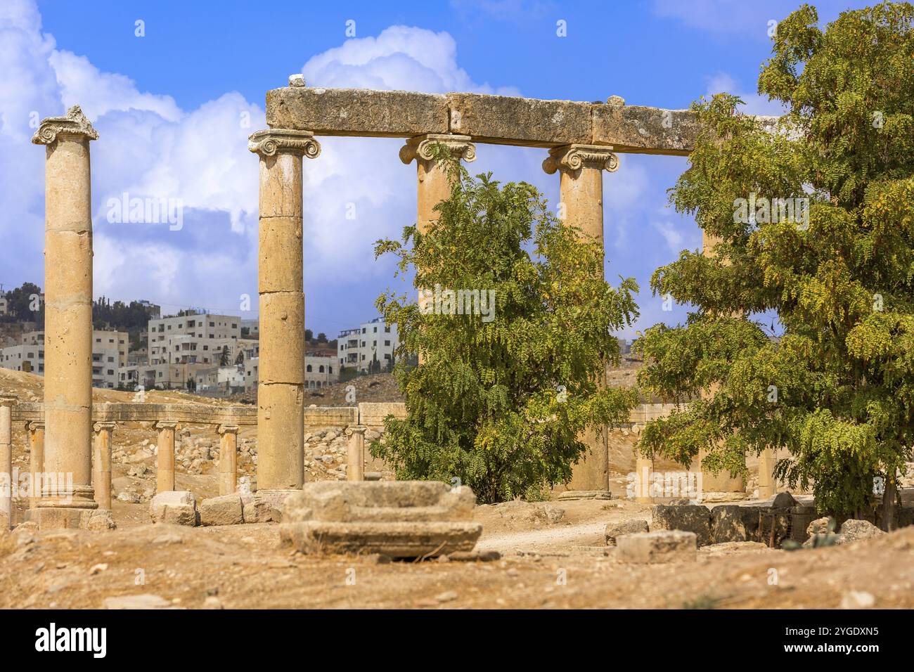 Jerash, Jordanie, carré avec rangée de colonnes de la place du Forum ovale au site archéologique, ruines de la période grecque et romaine, Asie Banque D'Images