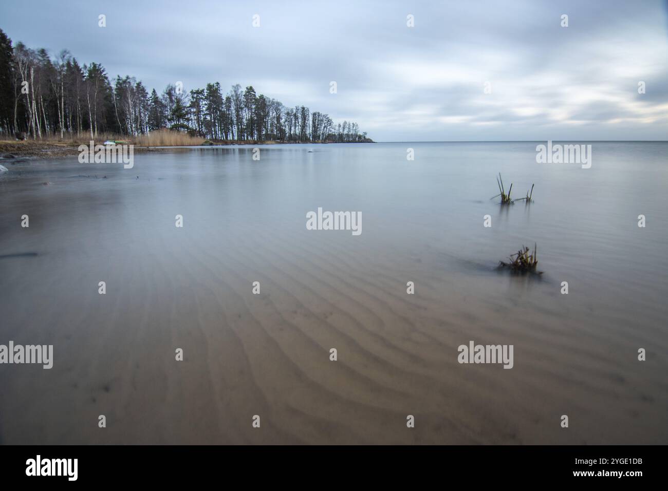 Lever de soleil sur un lac en automne. Une jetée en bois se jette dans l'eau, tandis que l'herbe s'est établie sur la plage de sable. Le lac et la plage au lac V Banque D'Images