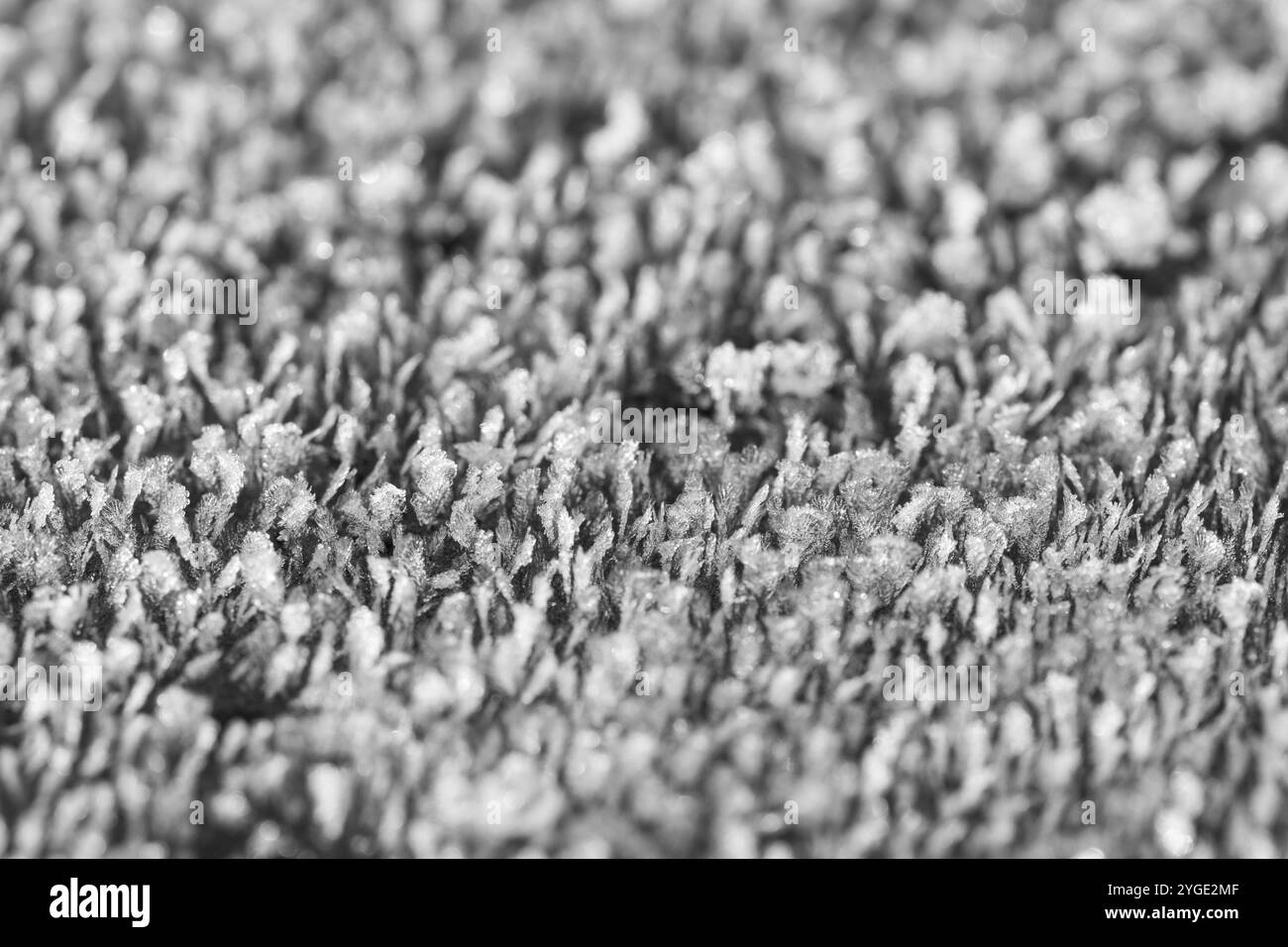 Gros plan de magnifiques petits cristaux de glace Banque D'Images