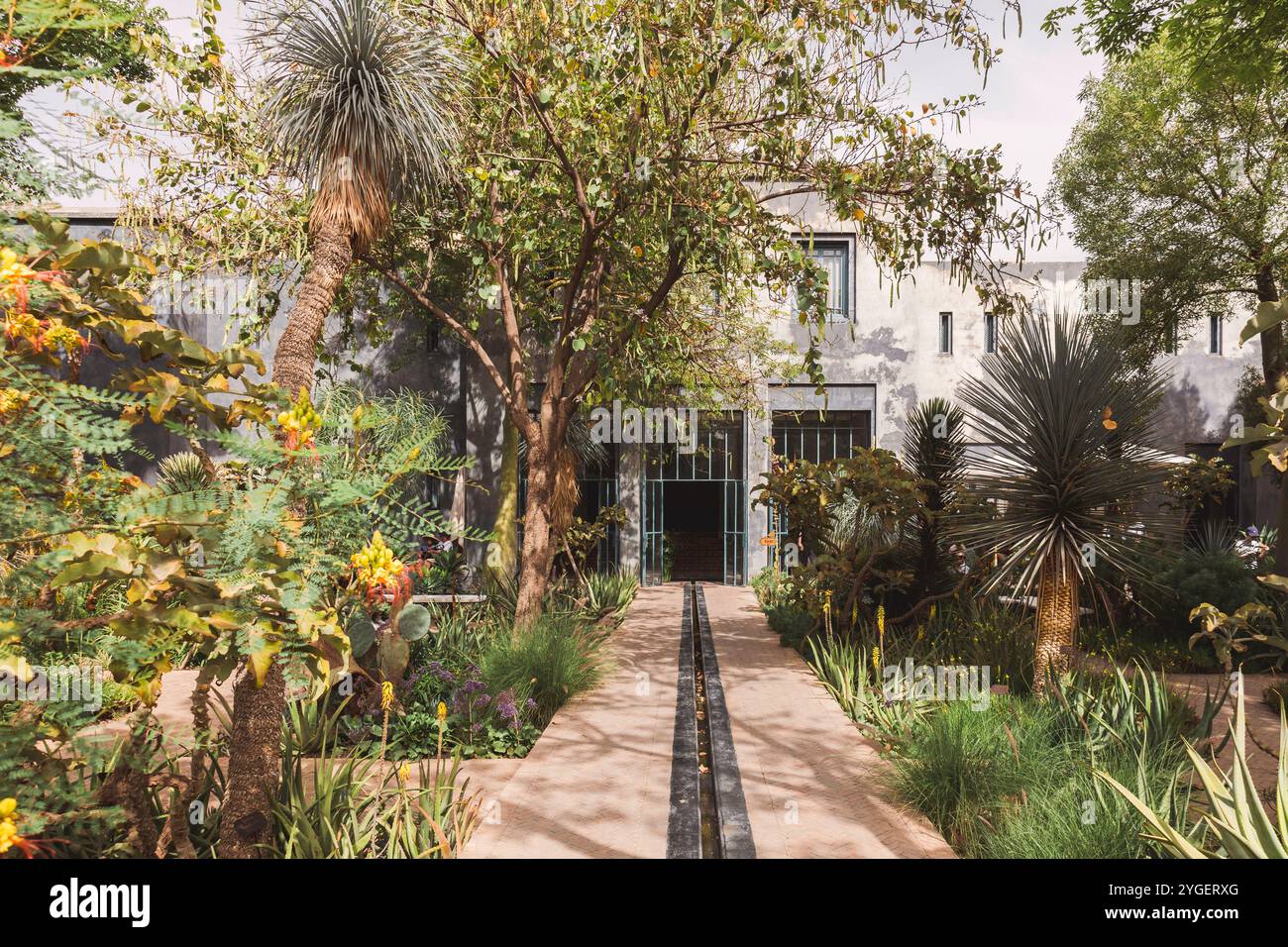 Chemin de jardin à travers un beau jardin botanique verdoyant de plantes tropicales et de palmiers, architecture marocaine traditionnelle au célèbre destin Banque D'Images