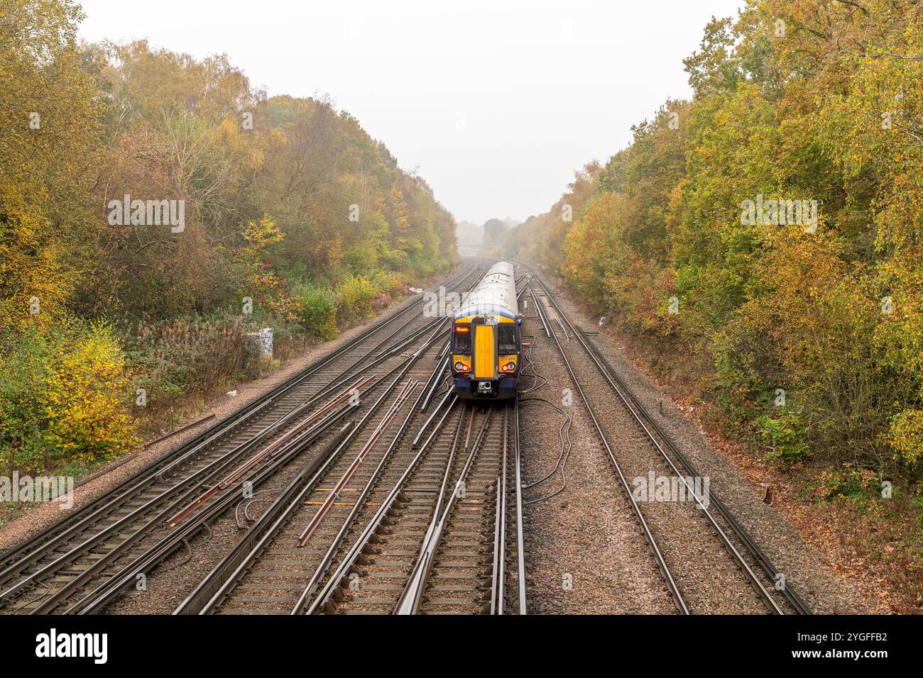Train sur chemin de fer passant entre les arbres avec des feuilles d'automne en novembre Banque D'Images Train sur chemin de fer passant entre les arbres avec des feuilles d'automne en novembre Banque D'Images