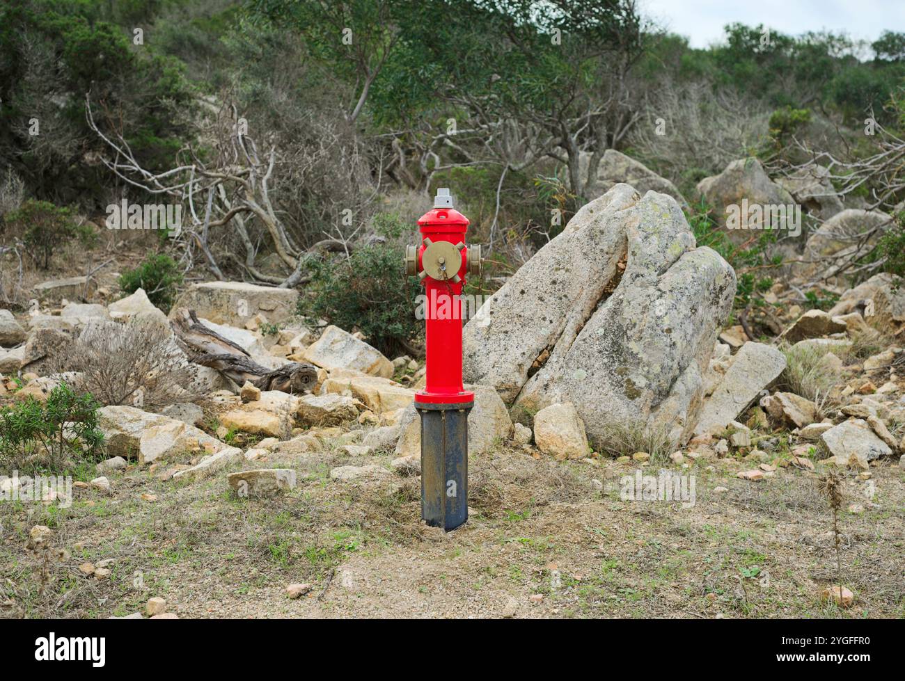 Bouche d'incendie, île de Caprera, Parc National de la Maddalena, Sardaigne, Italie Banque D'Images