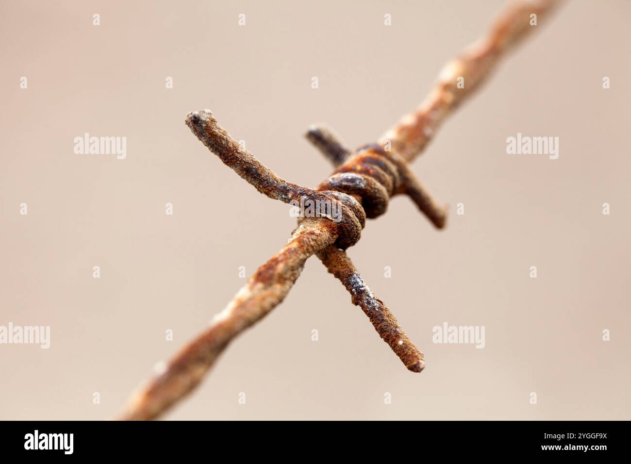 Gros plan de Rusty Barbed Wire, Afrique du Sud Banque D'Images