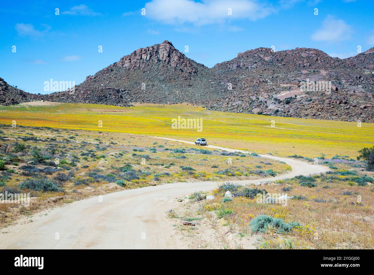 Afrique, beauté dans la nature, désert, réserve naturelle de Goegap, route de gravier, paysage, nature, pas d'animaux, pas de personnes, Province du Cap Nord, extérieur, route Banque D'Images