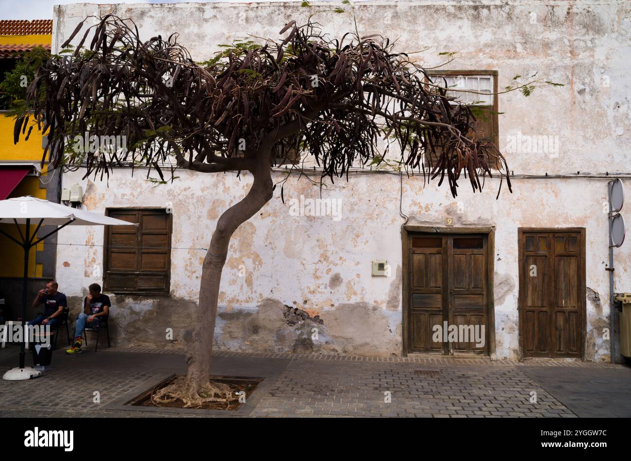 Tenerife, Îles Canaries, Îles Canaries, voyage, vacances, maison ancienne à Buenavista del Norte Banque D'Images