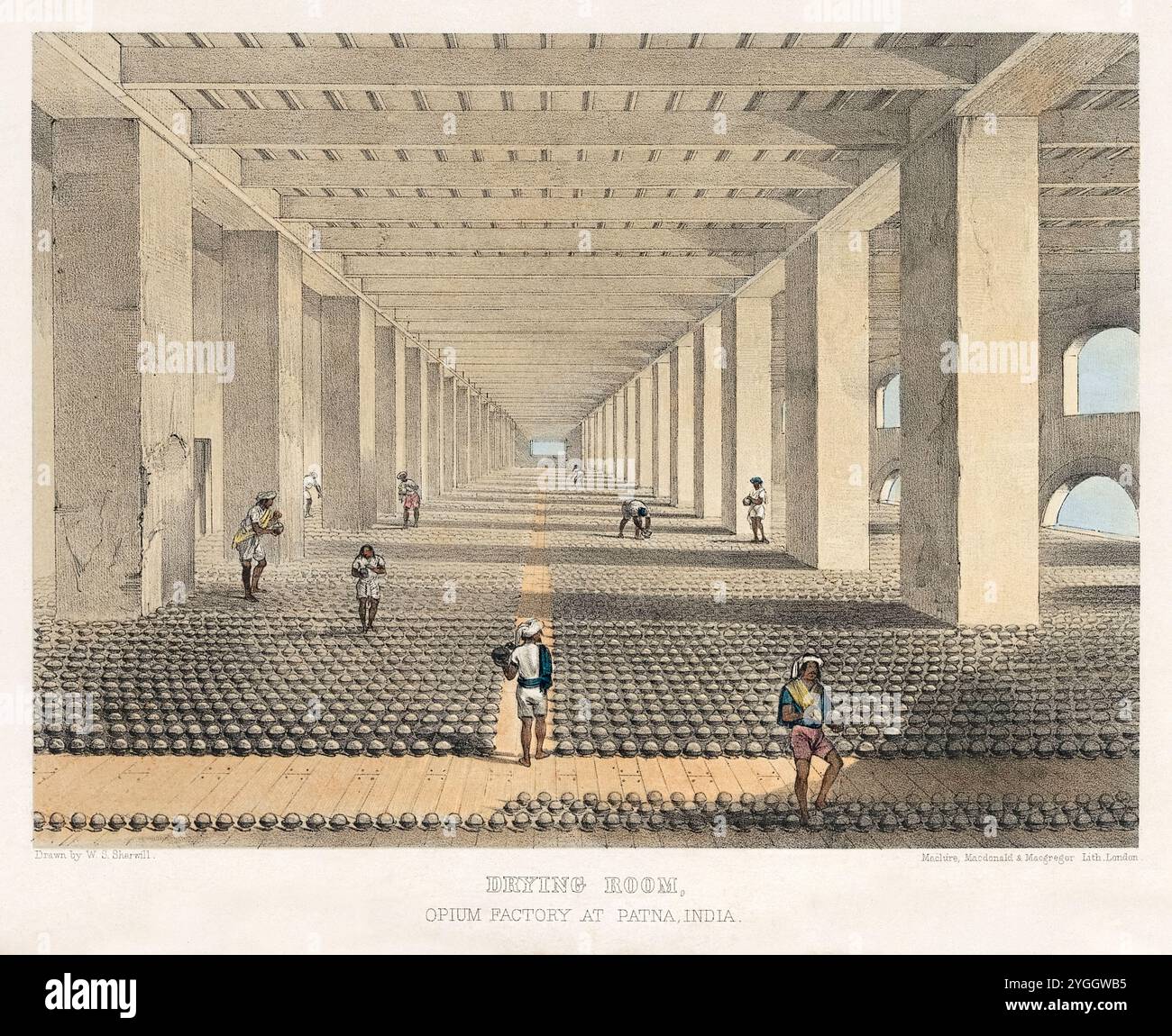 Lithographie de Walter S. Sherwill (1811-1863) montrant des ouvriers parmi des rangées de près de 40 000 boules d'opium, chacune dans une tasse en faïence séchée avant l'empilement. Les travailleurs assistent à la libération du gaz de fermentation des boules si nécessaire. Photographie tirée d'une lithographie originale publiée par Maclure, MacDonald & MacGregor, Londres. Crédit : Collection privée / AF Fotografie Banque D'Images