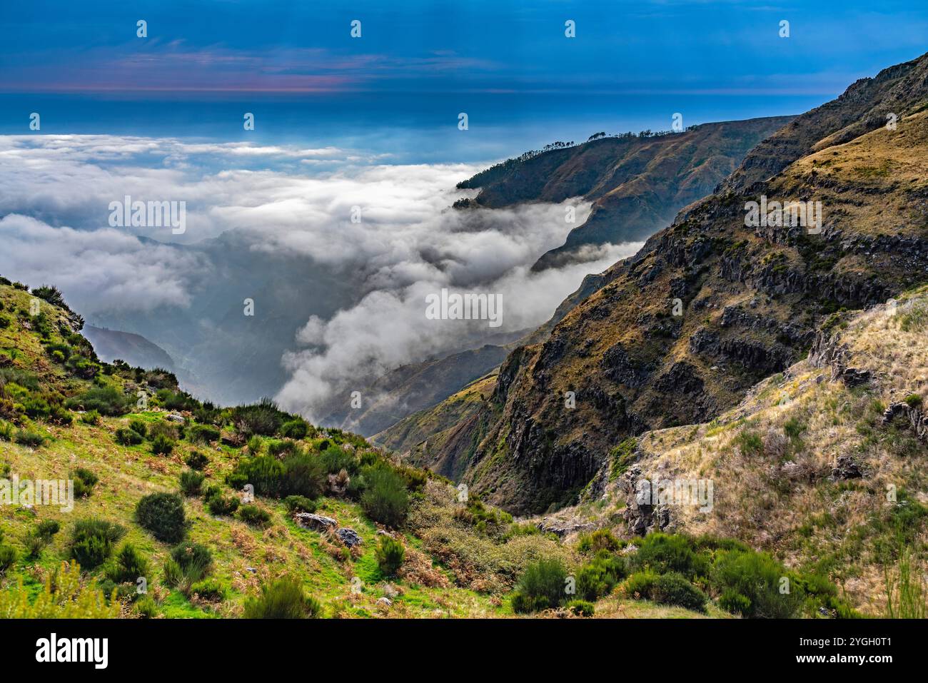 Ponta do sol, randonnée le long de la Levada do Paul. Brouillard sur la côte sud Banque D'Images