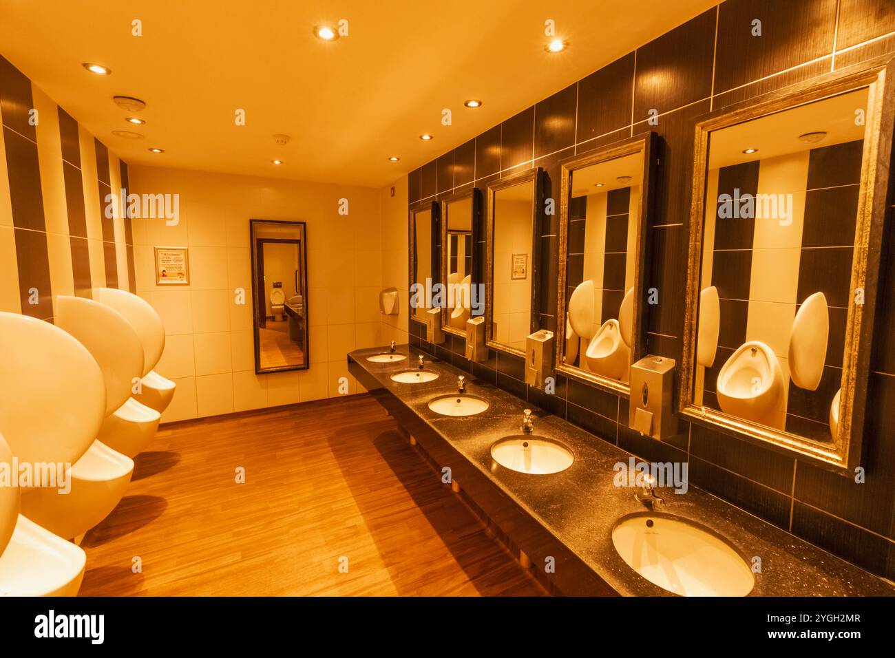 Angleterre, Kent, Whitstable, The Peter Cushing Wetherspoon Pub, toilettes pour hommes Banque D'Images