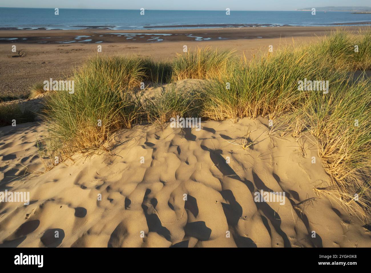 Angleterre, Kent et East Sussex, Camber Sands Banque D'Images