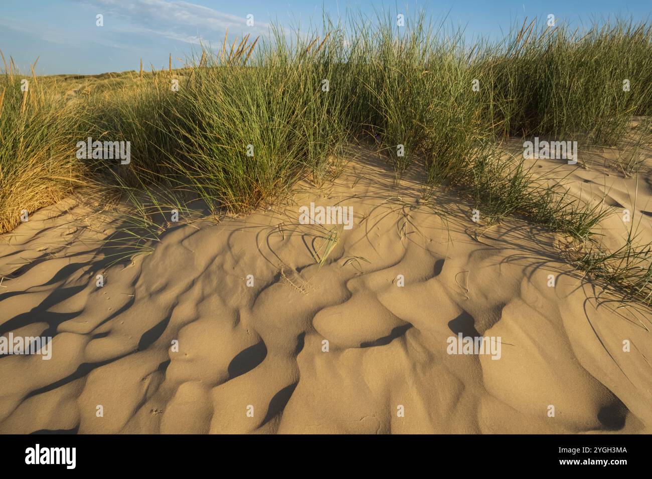 Angleterre, Kent et East Sussex, Camber Sands Banque D'Images