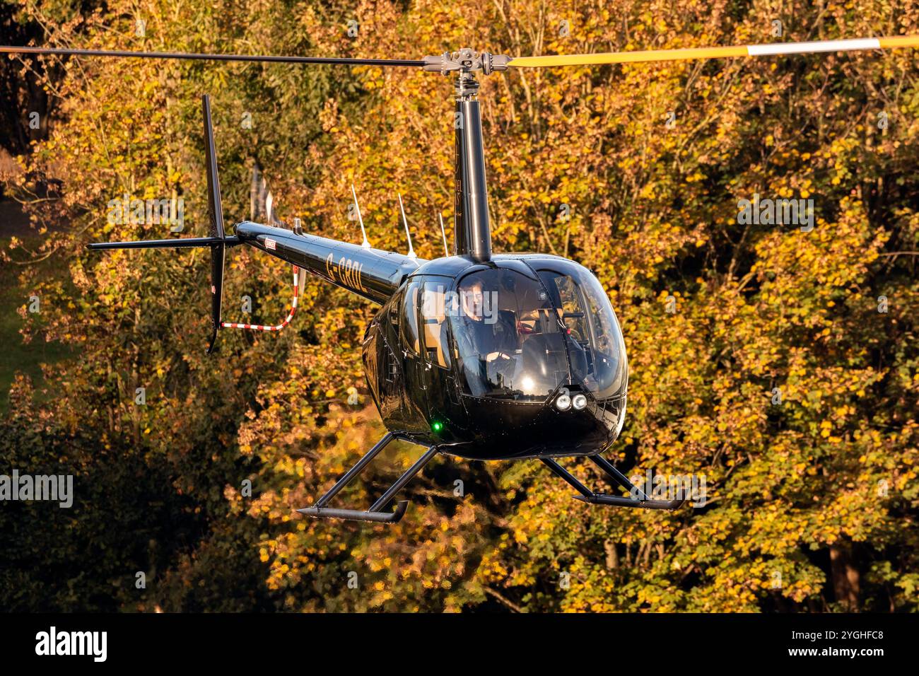 Hélicoptère Robinson R44 Raven II arrivant au European rotors 2024 au RAI Amsterdam Convention Centre. Amsterdam, pays-Bas - 2 novembre 2024 Banque D'Images