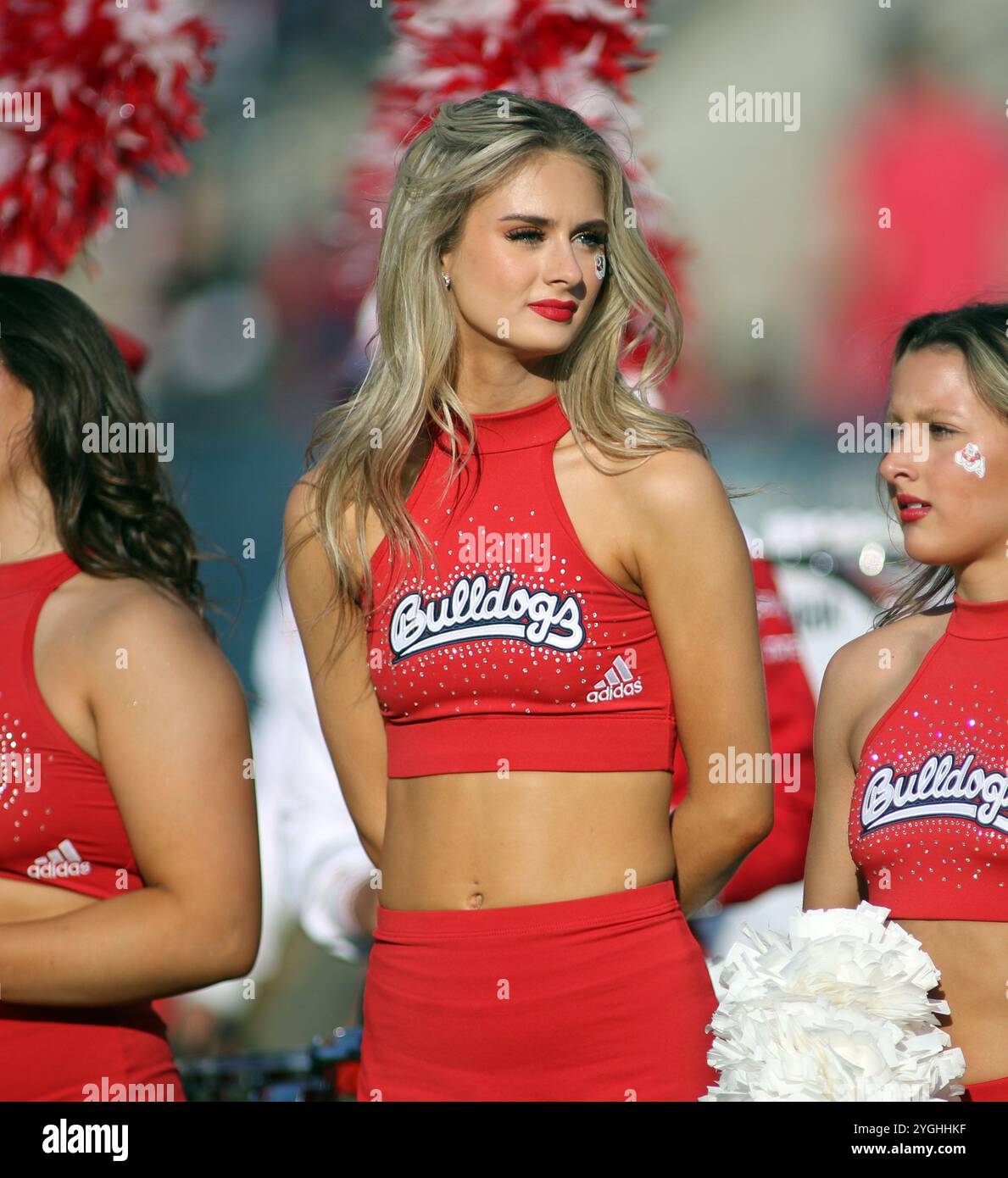 2 novembre 2024 - Une cheerleader des bouledogues de Fresno State lors d'un match entre les bouledogues de Fresno State et les Rainbow Warriors d'Hawaii au Valley Children's Stadium à Fresno, CA - Michael Sullivan/CSM Banque D'Images