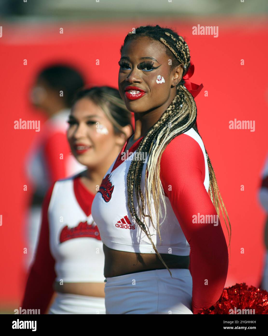 2 novembre 2024 - Une cheerleader des bouledogues de Fresno State lors d'un match entre les bouledogues de Fresno State et les Rainbow Warriors d'Hawaii au Valley Children's Stadium à Fresno, CA - Michael Sullivan/CSM Banque D'Images