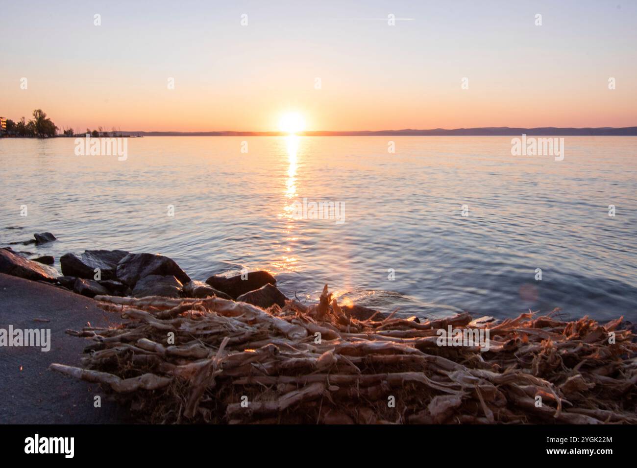 Coucher de soleil sur la rive d'un lac en été. Ciel coloré avec une large vue sur l'horizon. Paysage naturel au lac Balaton, lac Balaton, Siófok, Hongrois Banque D'Images