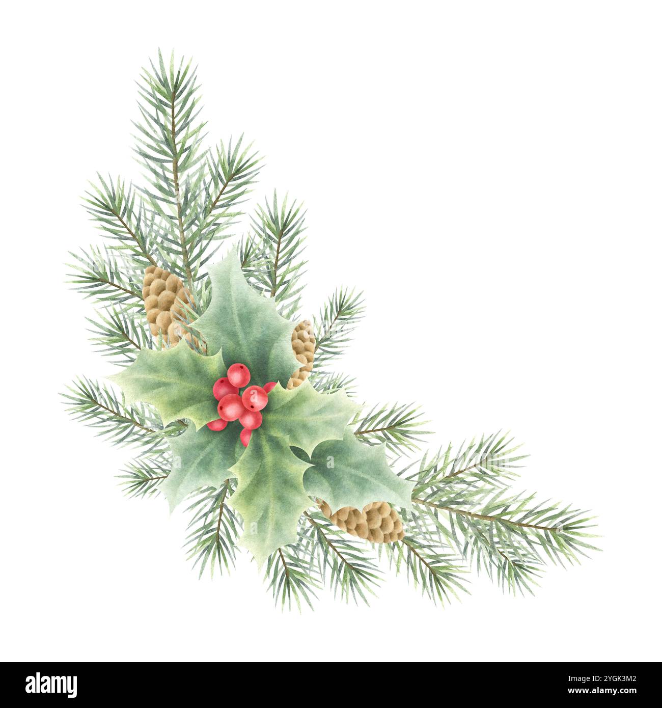 Branche de sapin de Noël, cônes et baies de houx et feuilles aquarelle isolée illustration. Composition de coin dessinée à la main pour Happy New Year Winter HOL Banque D'Images