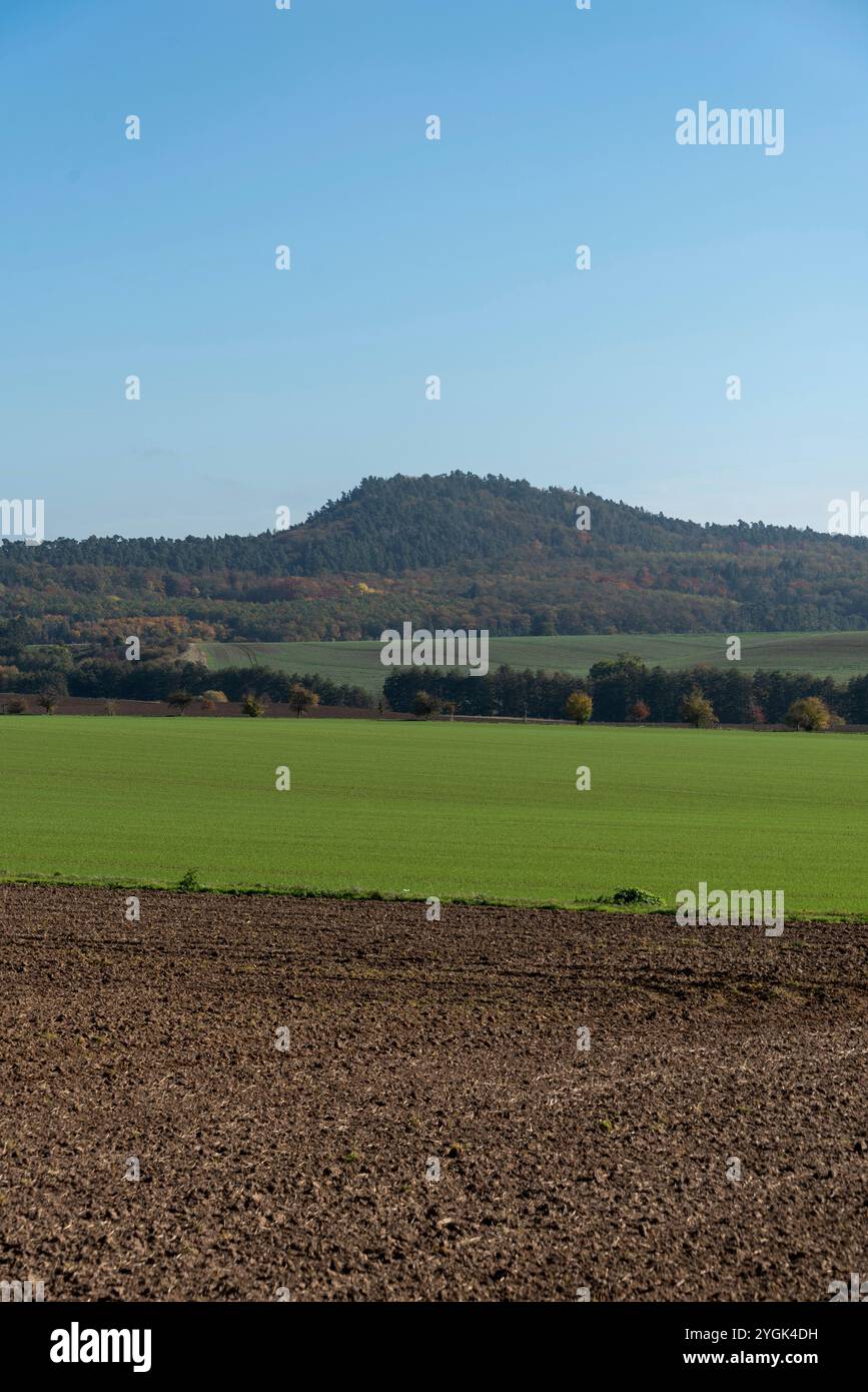 Paysage dans les contreforts des montagnes du Harz, champ récolté, colline boisée avec feuillage d'automne derrière, Halberstadt, Saxe-Anhalt, Allemagne Banque D'Images
