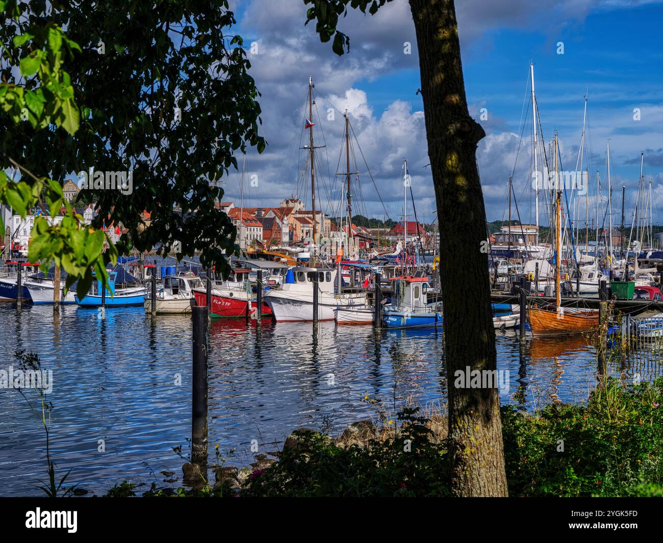 Matin d'été dans le port de Flensburg, Flensburg Fjord Banque D'Images