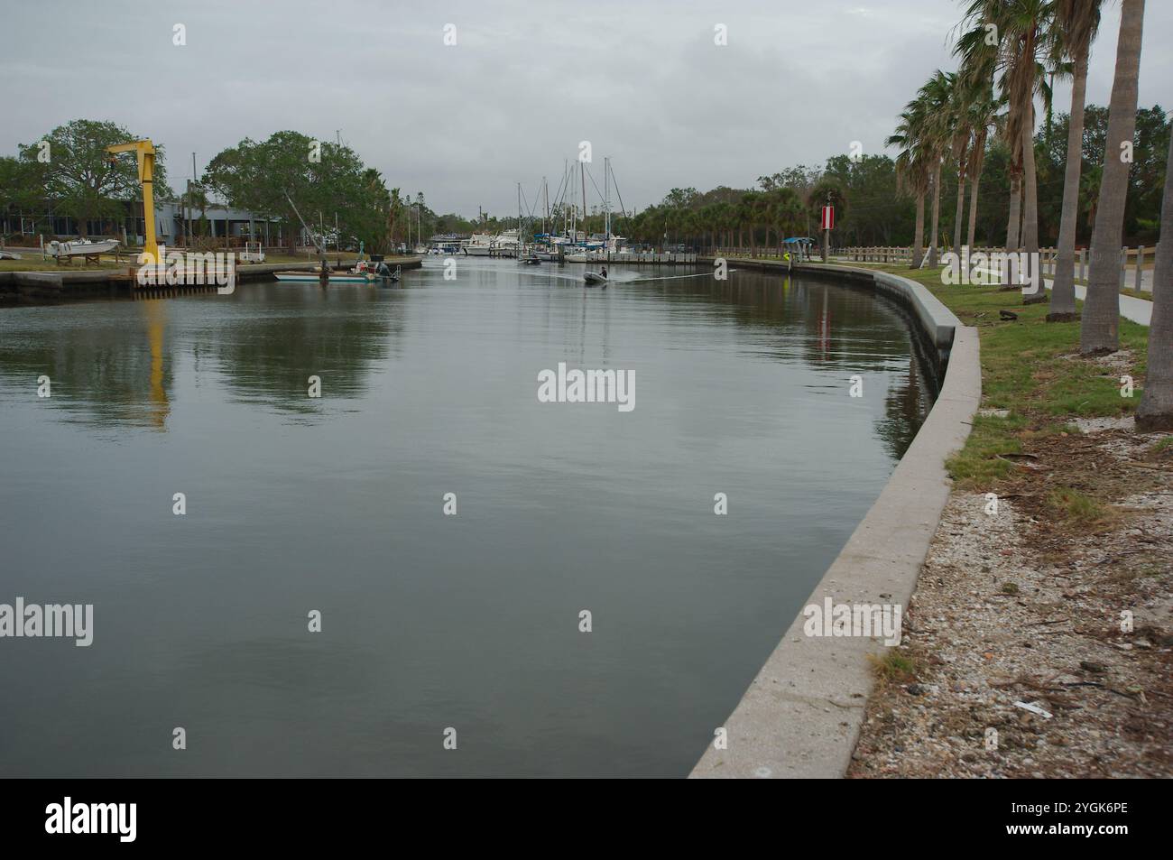 Courbe en S de Seawall sur la droite avec des palmiers verts. Héron bleu sur le côté droit de la digue. Vue sur Gulfport Marina par une journée ensoleillée. eau calme avec Banque D'Images