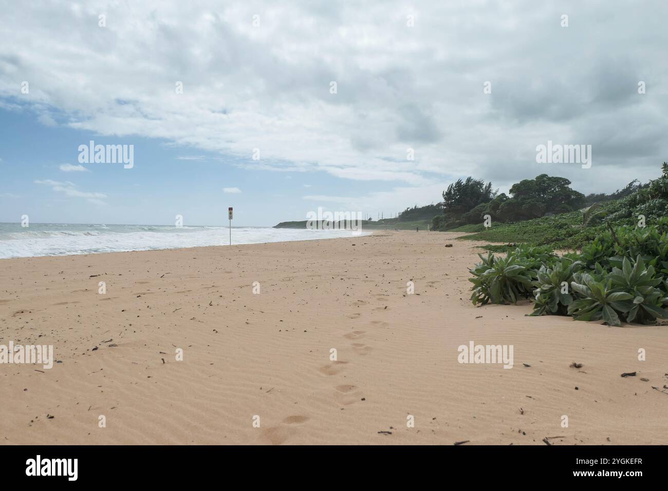 Longues étendues de sable à Kealia Beach île de Kauai Banque D'Images