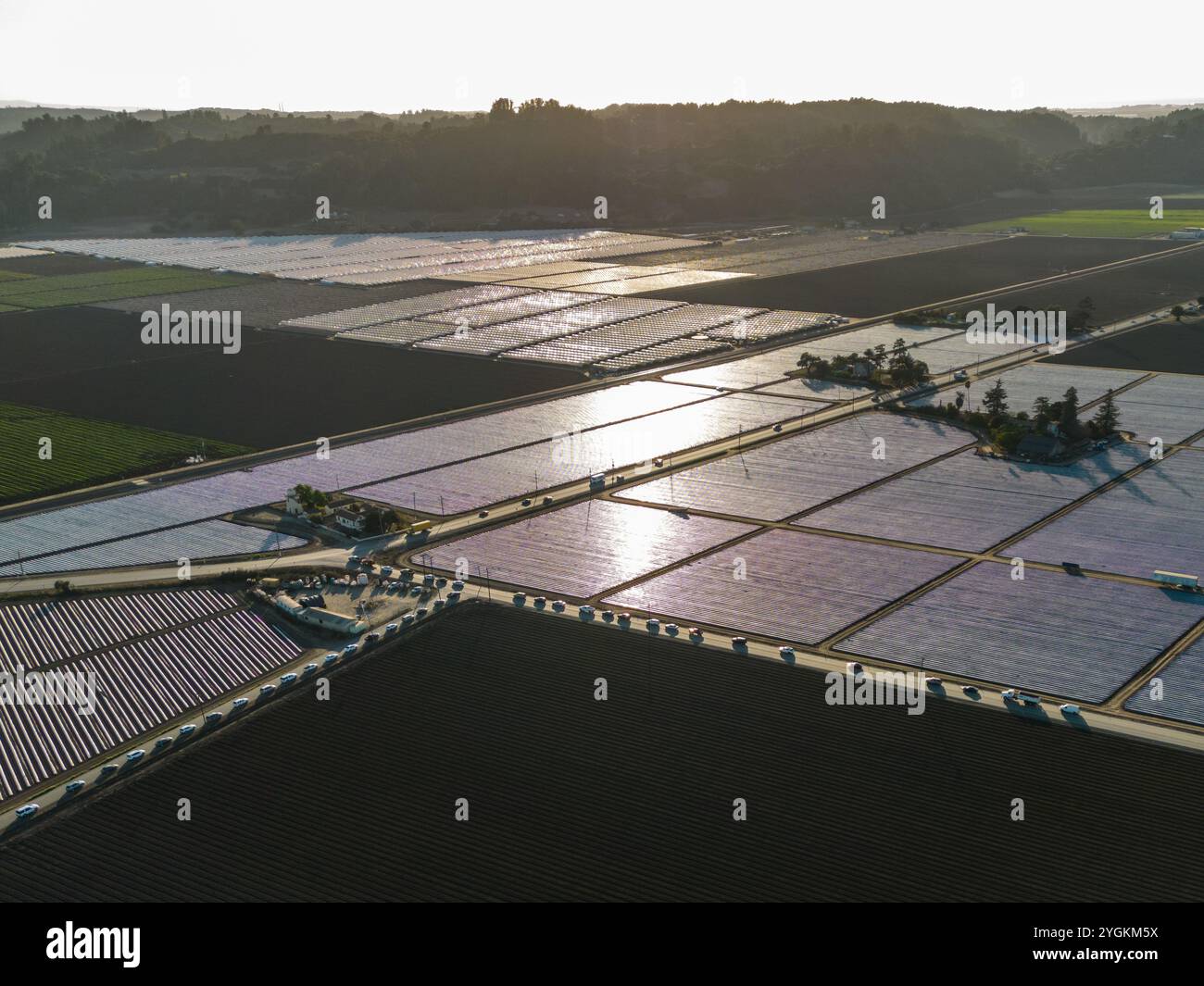Près des frontières des comtés de Monterey et Santa Cruz, les champs agricoles dominent le paysage près de Watsonville, en Californie. Banque D'Images