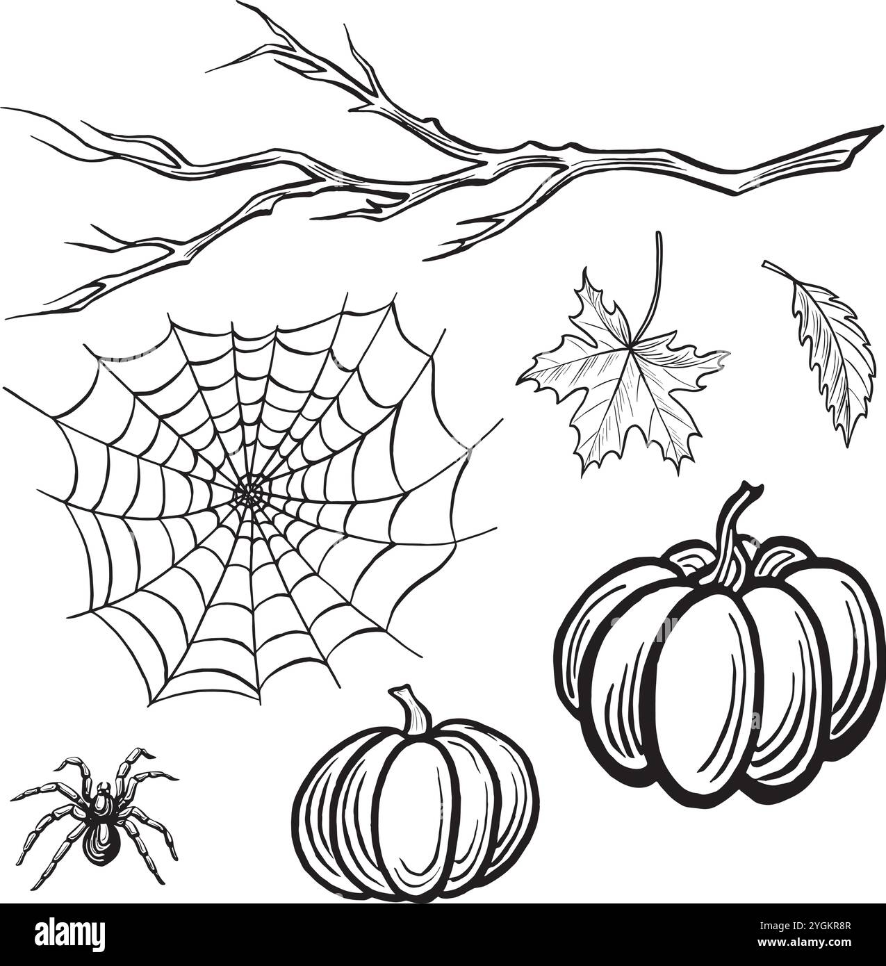 Araignée avec toile, citrouilles, branche et feuilles. Définir le croquis d'automne. Illustrations vectorielles, dessinées à la main isolées. Insectes dangereux. Noir et blanc Illustration de Vecteur