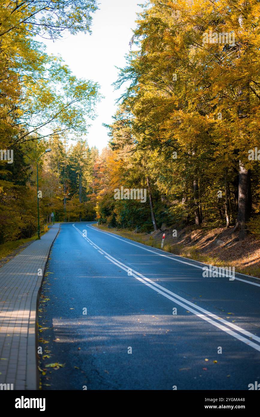 Une route paisible serpente à travers une forêt en automne, entourée de feuillage doré. L'air frais et le chemin clair vous invitent à explorer la beauté de natur Banque D'Images