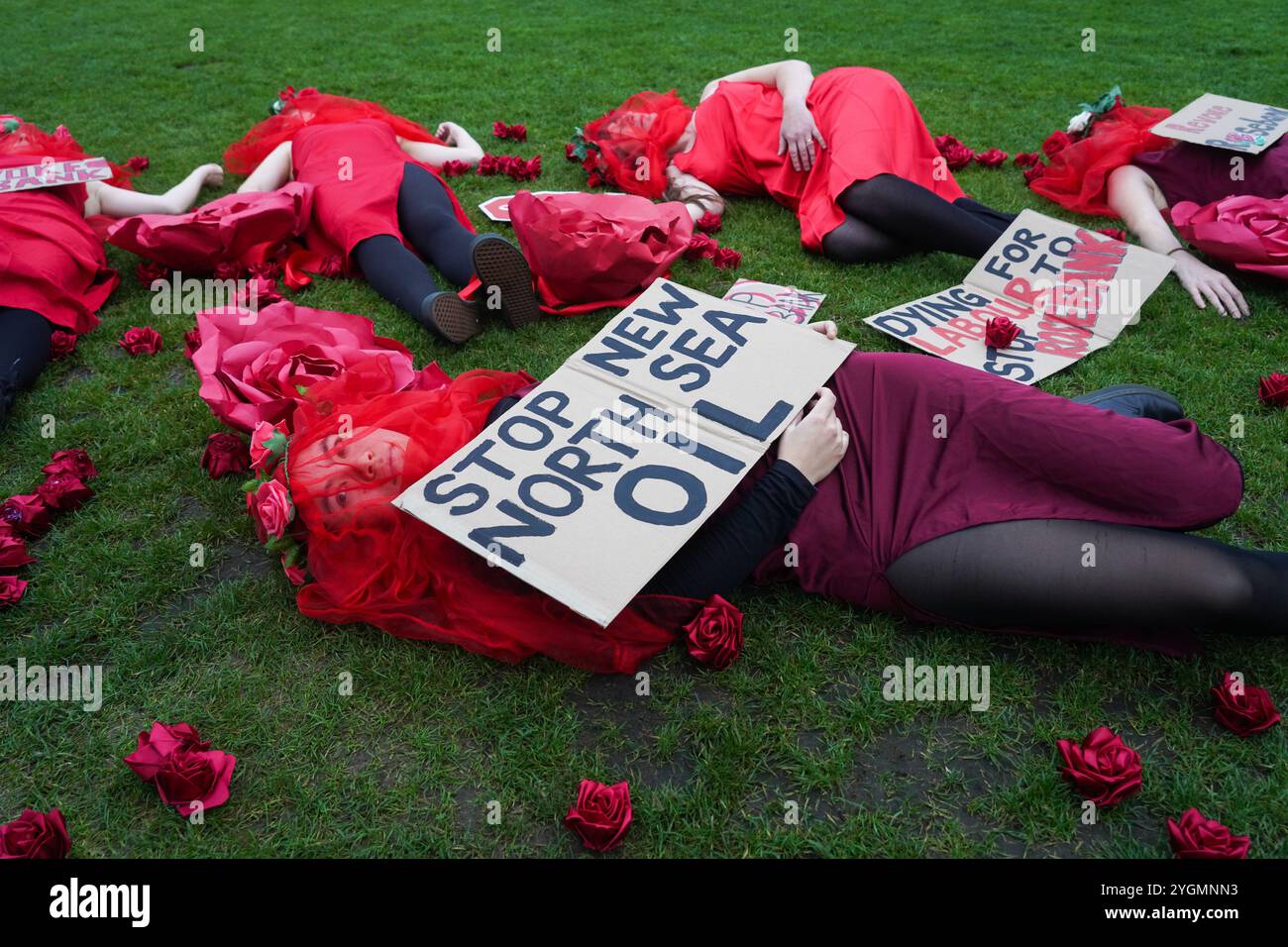 Londres, Royaume-Uni. 8 novembre 2024. Les activistes climatiques de Fossil Free London mettent en scène une mort devant les chambres du Parlement pour appeler le gouvernement à arrêter le champ pétrolier de Rosebank. La décision d'approuver ce champ pétrolier est contestée par Uplift et Greenpeace devant la Cour de session, la Cour civile suprême d'Écosse, à compter du 12 novembre 2024. Banque D'Images