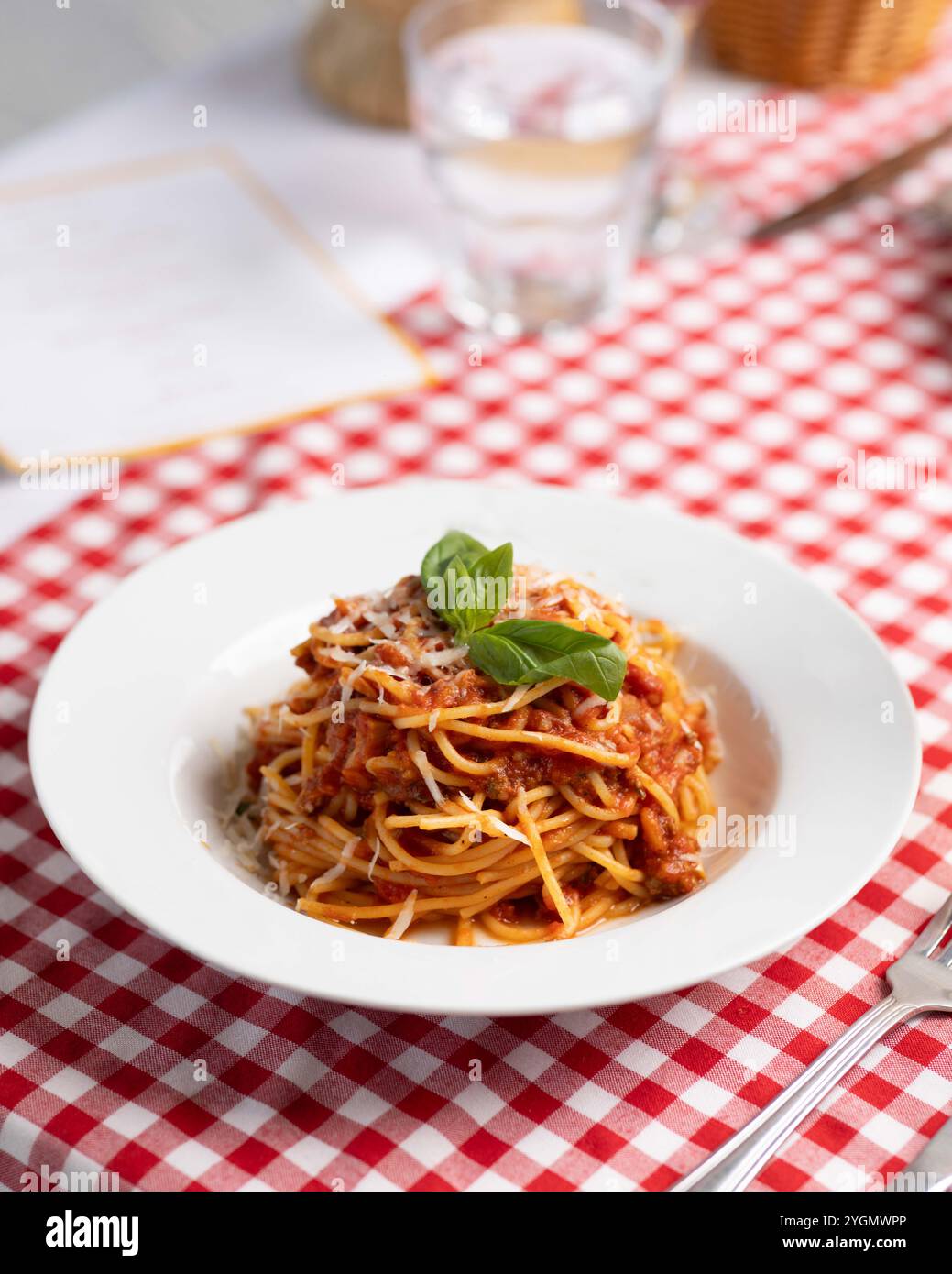 Spaghettis italiens classiques recouverts d'une riche sauce tomate rouge et d'une feuille de basilic frais, un plat simple mais savoureux qui incarne la cuisine italienne. Banque D'Images