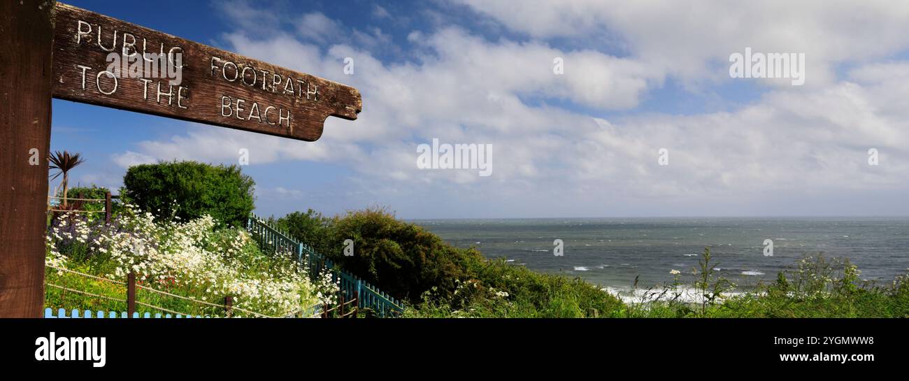 Vue sur la côte de Reighton Sands vers Filey, North Yorkshire, Angleterre, Royaume-Uni Banque D'Images