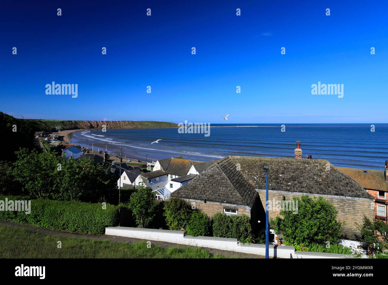 Vue sur la péninsule de Filey Brigg, ville de Filey, North Yorkshire, Angleterre, Royaume-Uni Banque D'Images