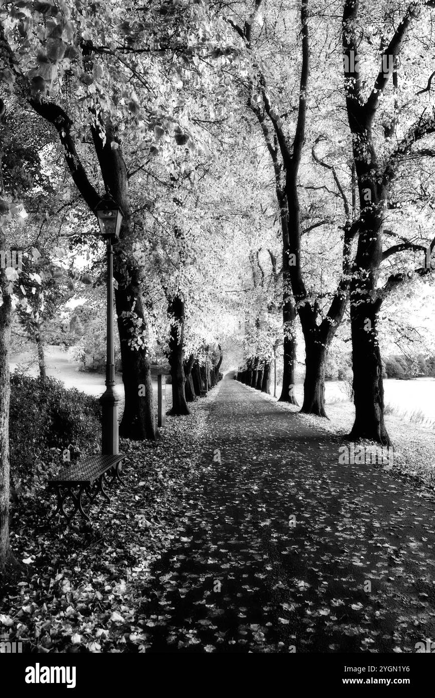 Autour du Royaume-Uni - Riverbank à Preston, image infrarouge Banque D'Images