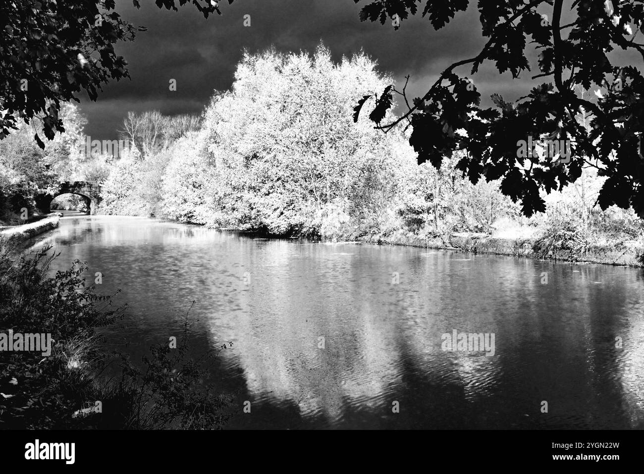 Autour du Royaume-Uni - Leeds à Liverpool canal - Infra Red image Banque D'Images