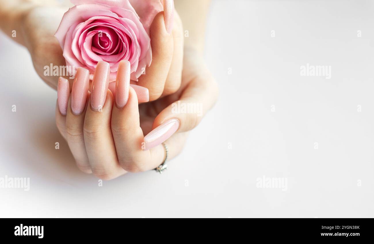 Des mains délicates avec de longs ongles roses bercent une belle rose rose, apportant une touche d'élégance à une atmosphère douce et tranquille dans un espace intérieur. Banque D'Images