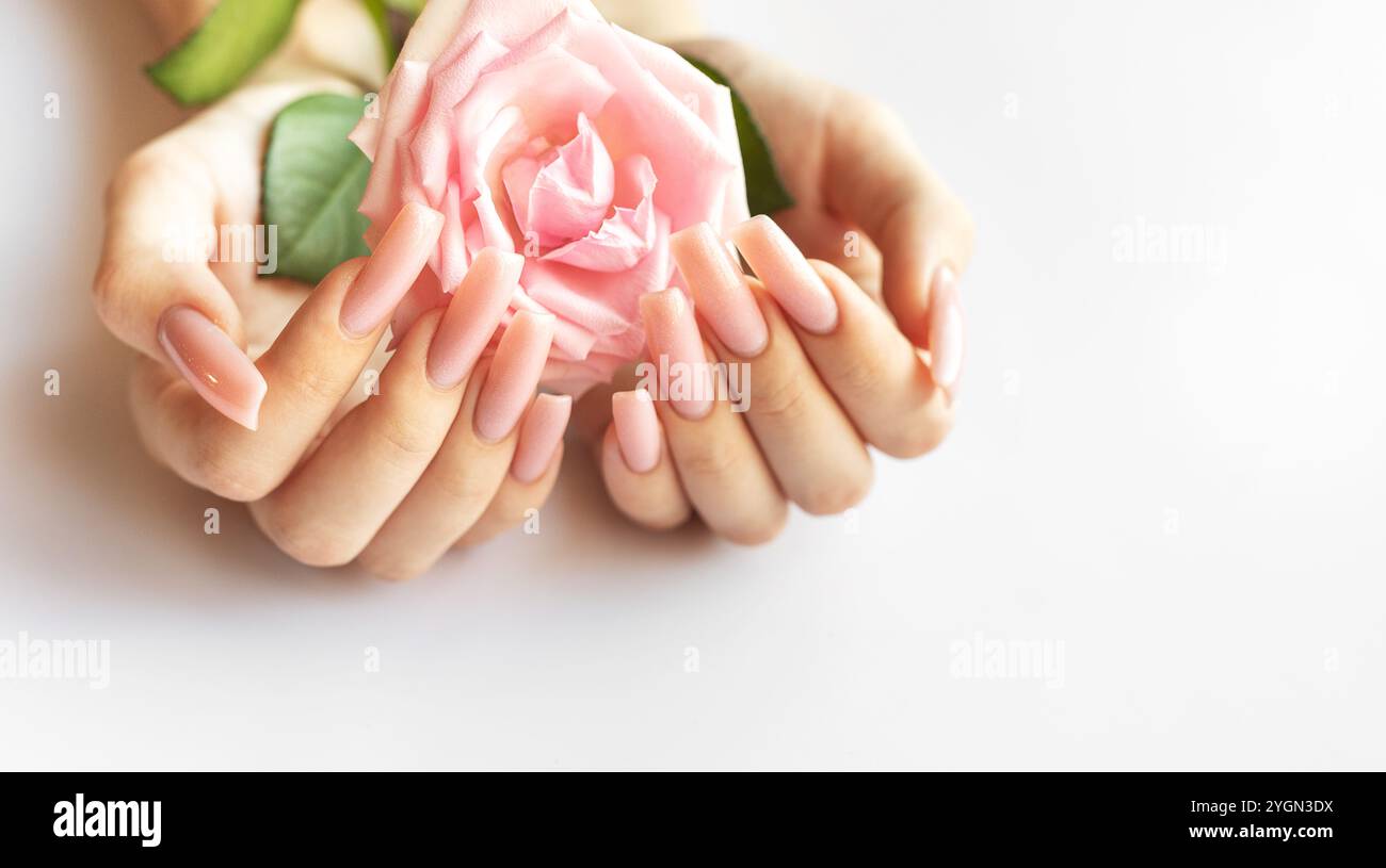 Des mains délicates avec de longs ongles roses bercent une belle rose rose, apportant une touche d'élégance à une atmosphère douce et tranquille dans un espace intérieur. Banque D'Images
