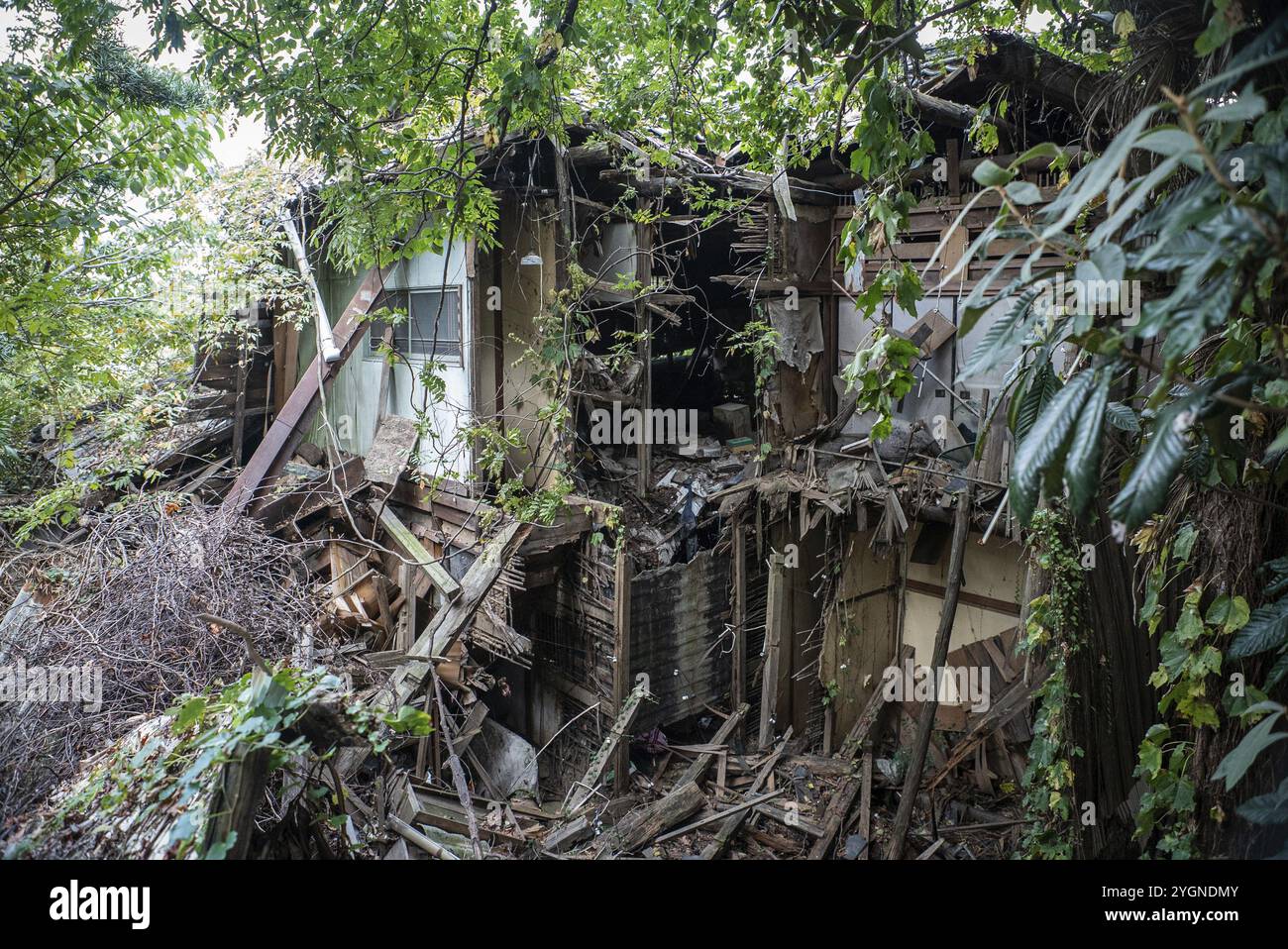 Une ruine de maison en ruine (akiya) à Onomichi, une ville sur la mer intérieure de Seto avec une population de 129 000 habitants. En 2024, 13,8 % de toutes les maisons au Japon Banque D'Images