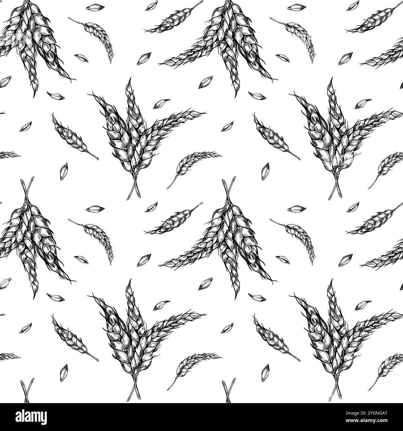Bouquet d'oreilles de blé sur tige noir blanc vecteur graphique sans couture modèle isolé. Texture botanique répétée de seigle épilé, main monochrome d'orge Illustration de Vecteur