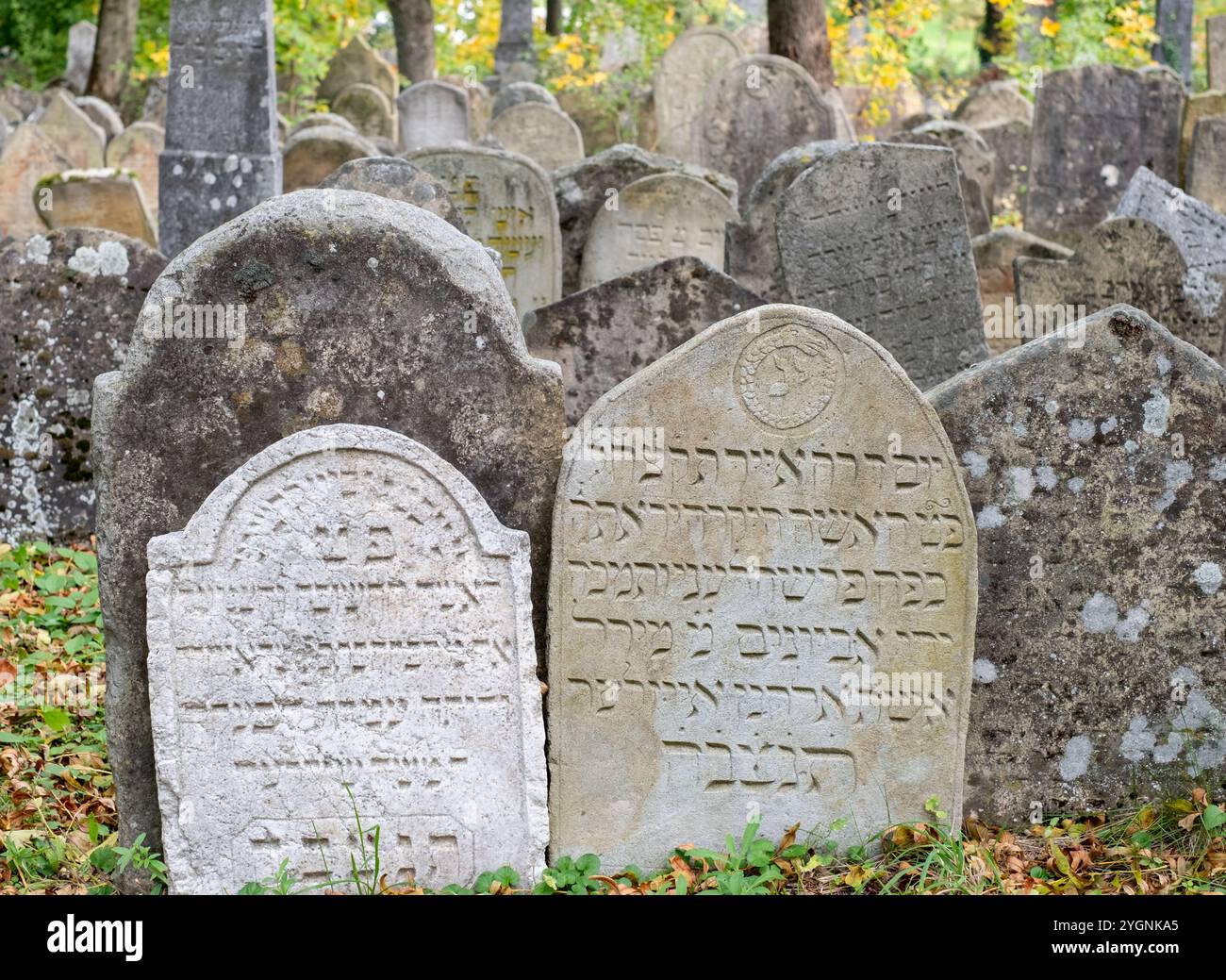 Anciennes pierres tombales historiques dans le cimetière juif de la ville de Mikulov, autrefois appelée Nikolsburg, en Moravie, République tchèque. Banque D'Images