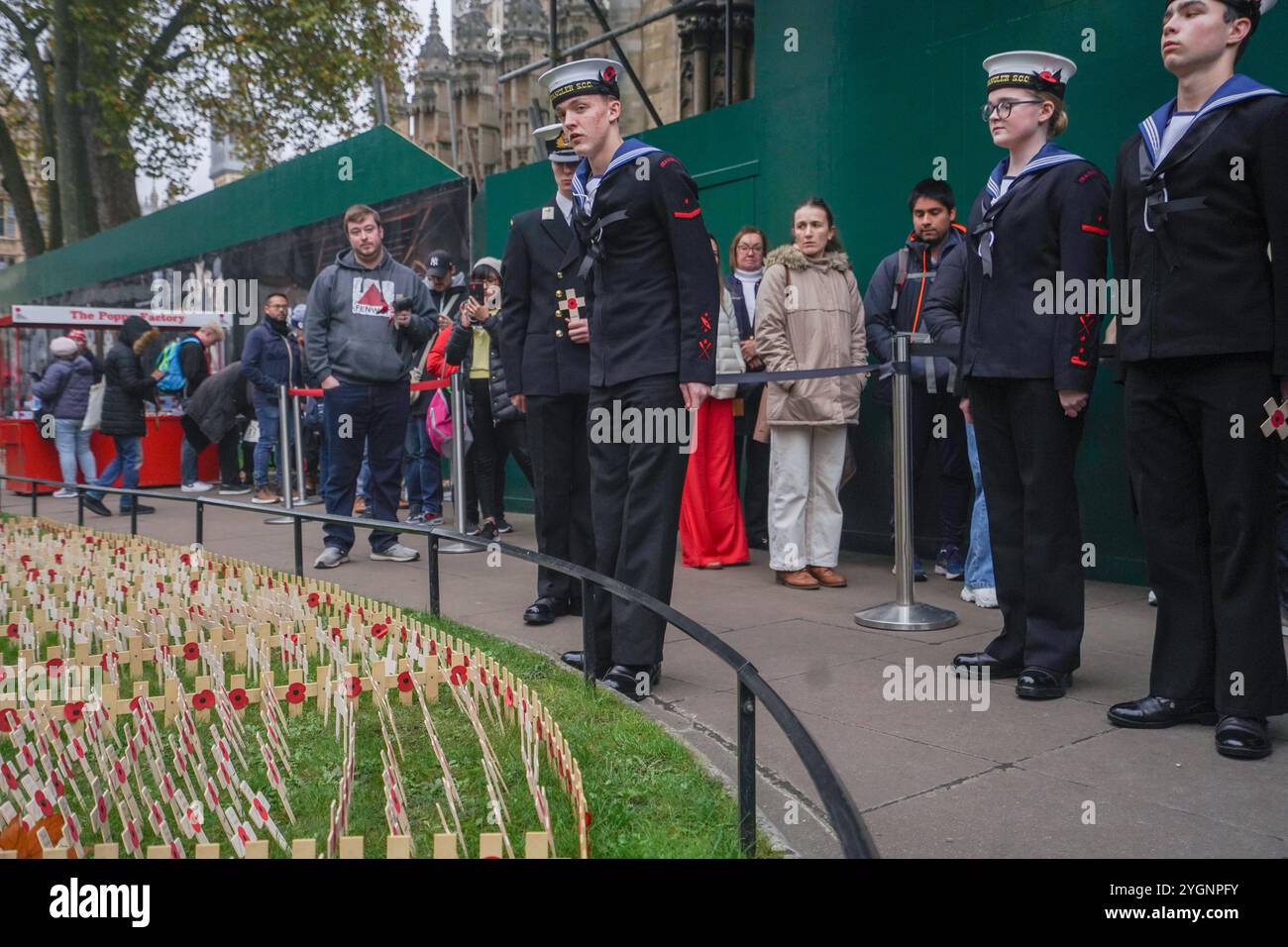 Londres, Royaume-Uni. 8 novembre 2024 Cadets de la mer du navire d'entraînement TS Wrangler Plant Crossings au champ du souvenir de l'abbaye de Westminster. Le champ du souvenir a été officiellement ouvert jeudi par SAR la duchesse de Gloucester alors que la Grande-Bretagne se prépare au Service national du souvenir au cénotaphe de Whitehall le dimanche 10 novembre pour rendre hommage au sacrifice des soldats britanniques et du Commonwealth, marins, aviateurs et femmes qui ont servi. Crédit. Amer Ghazzal/Alamy Live News Banque D'Images