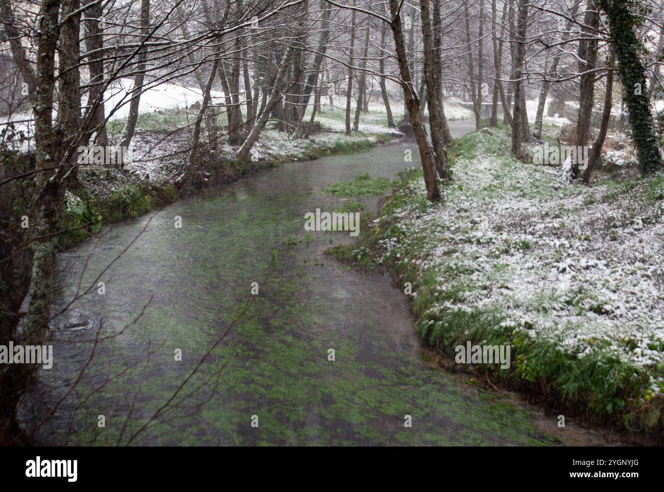 Petite rivière entourée d'arbres et sur les côtés d'herbe mélangée à de la neige. Banque D'Images