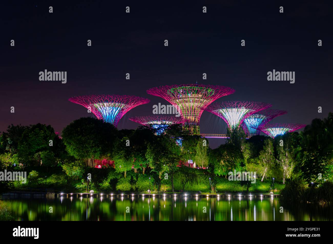 Supertree Grove arbres dans les jardins de la baie Banque D'Images