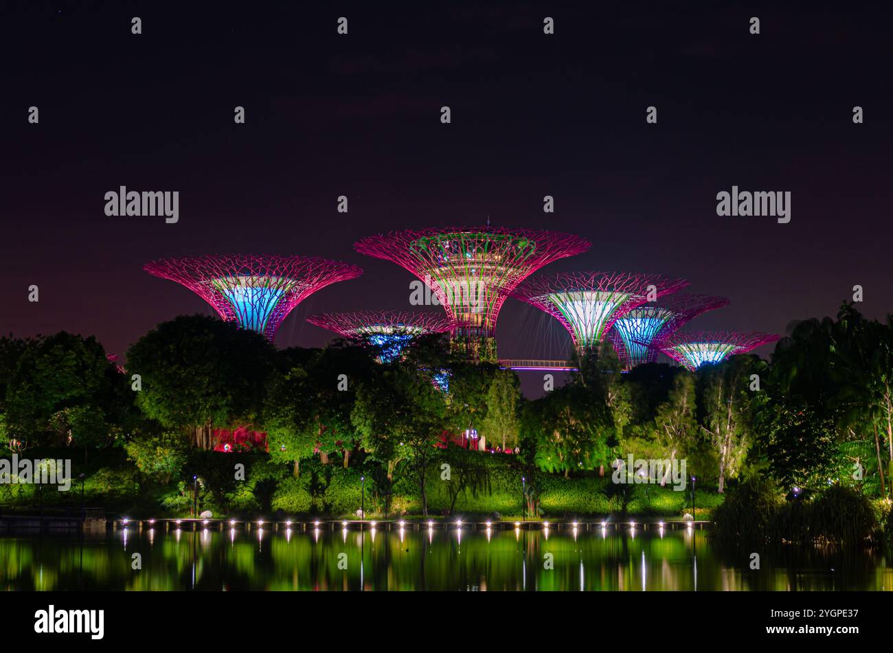 Supertree Grove arbres dans les jardins de la baie Banque D'Images