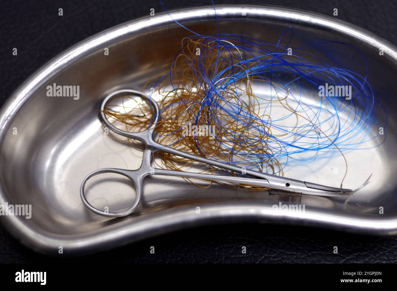 suture chirurgicale, point de suture, points de suture avec une pince dans un petit bocal de rein en acier inoxydable, les sutures sont un dispositif médical utilisé pour maintenir les tissus du corps ensemble Banque D'Images