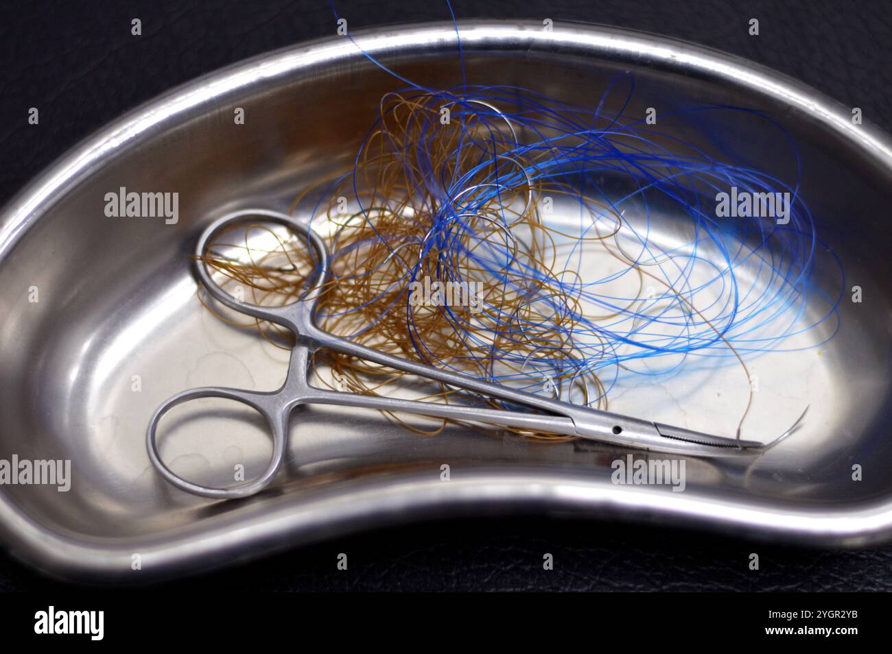 suture chirurgicale, point de suture, points de suture avec une pince dans un petit bocal de rein en acier inoxydable, les sutures sont un dispositif médical utilisé pour maintenir les tissus du corps ensemble Banque D'Images