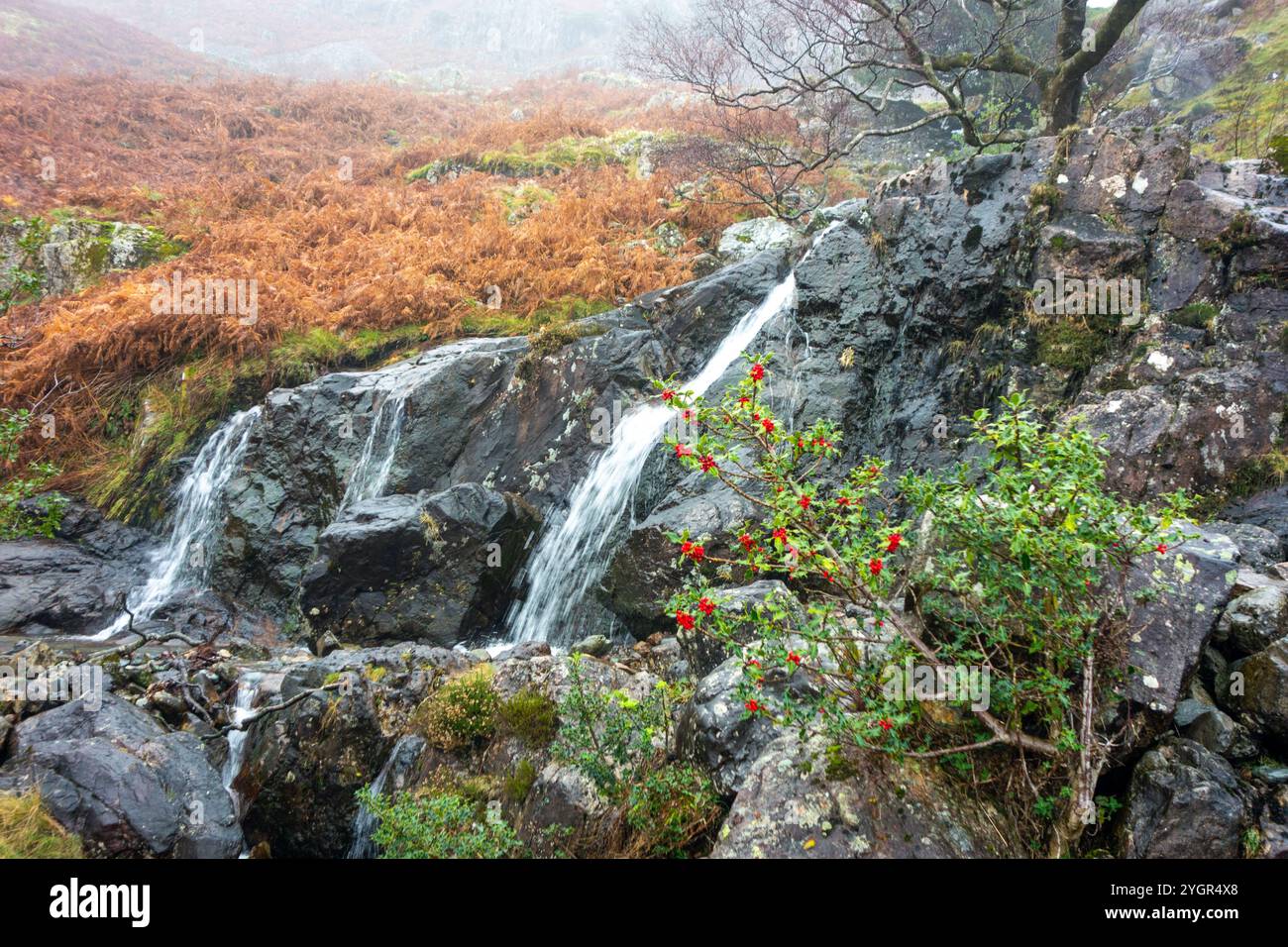 Cascade dans le quartier anglais des lacs sur les brochettes Langdale Banque D'Images