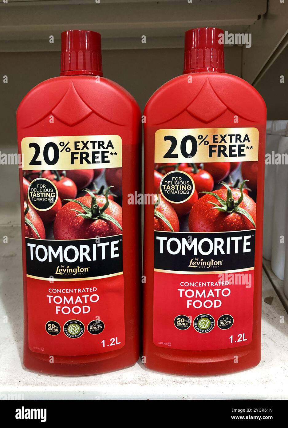 Tomorite concentré nourriture à base de tomates à vendre au centre de jardinage local - Image de stock capturée avec un smartphone