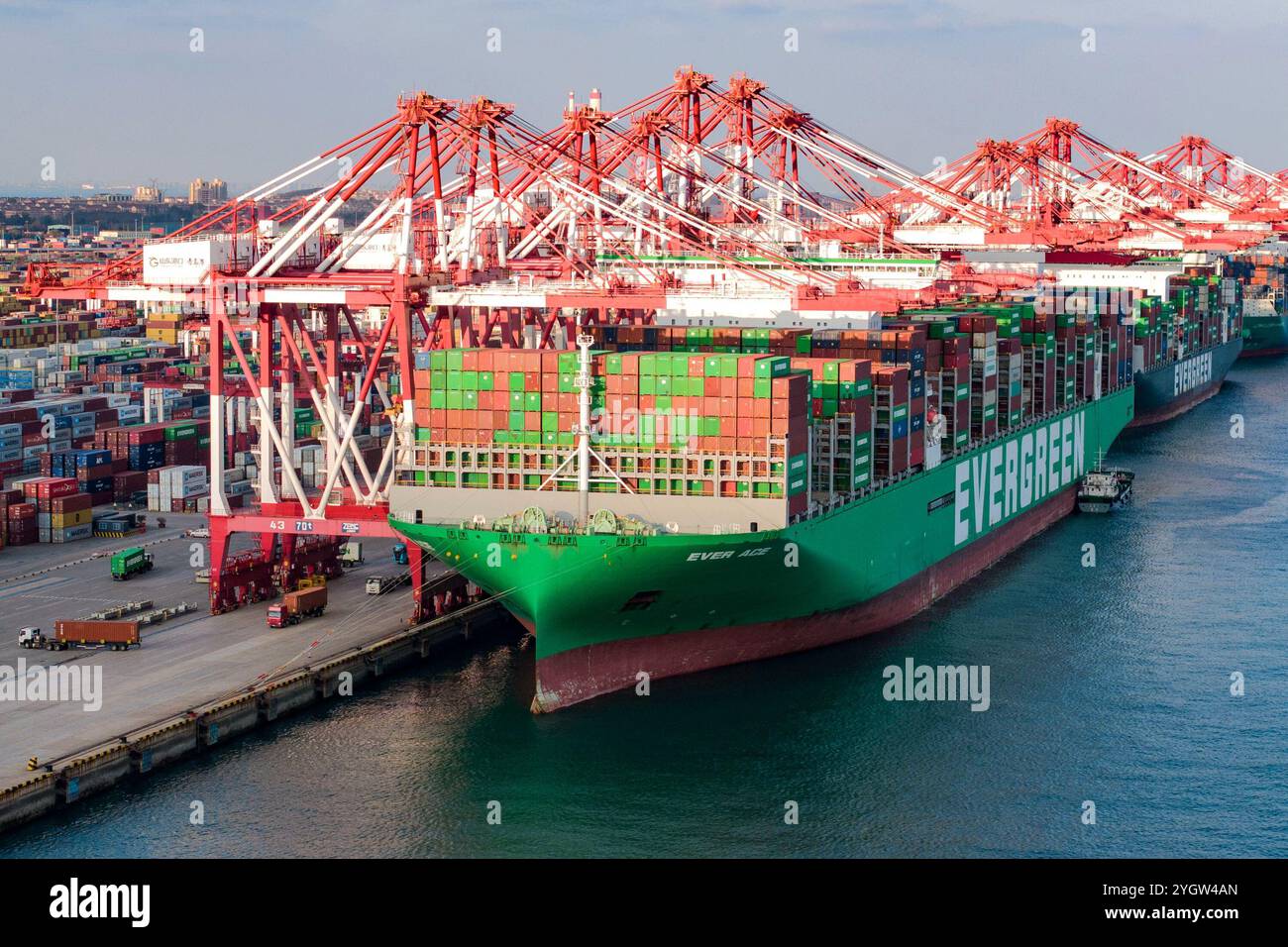 QINGDAO, CHINE - 8 NOVEMBRE 2024 - Un navire porte-conteneurs mondial de grande classe est en train de décharger des conteneurs au terminal à conteneurs de Qianwan du port de Qingdao au Q. Banque D'Images