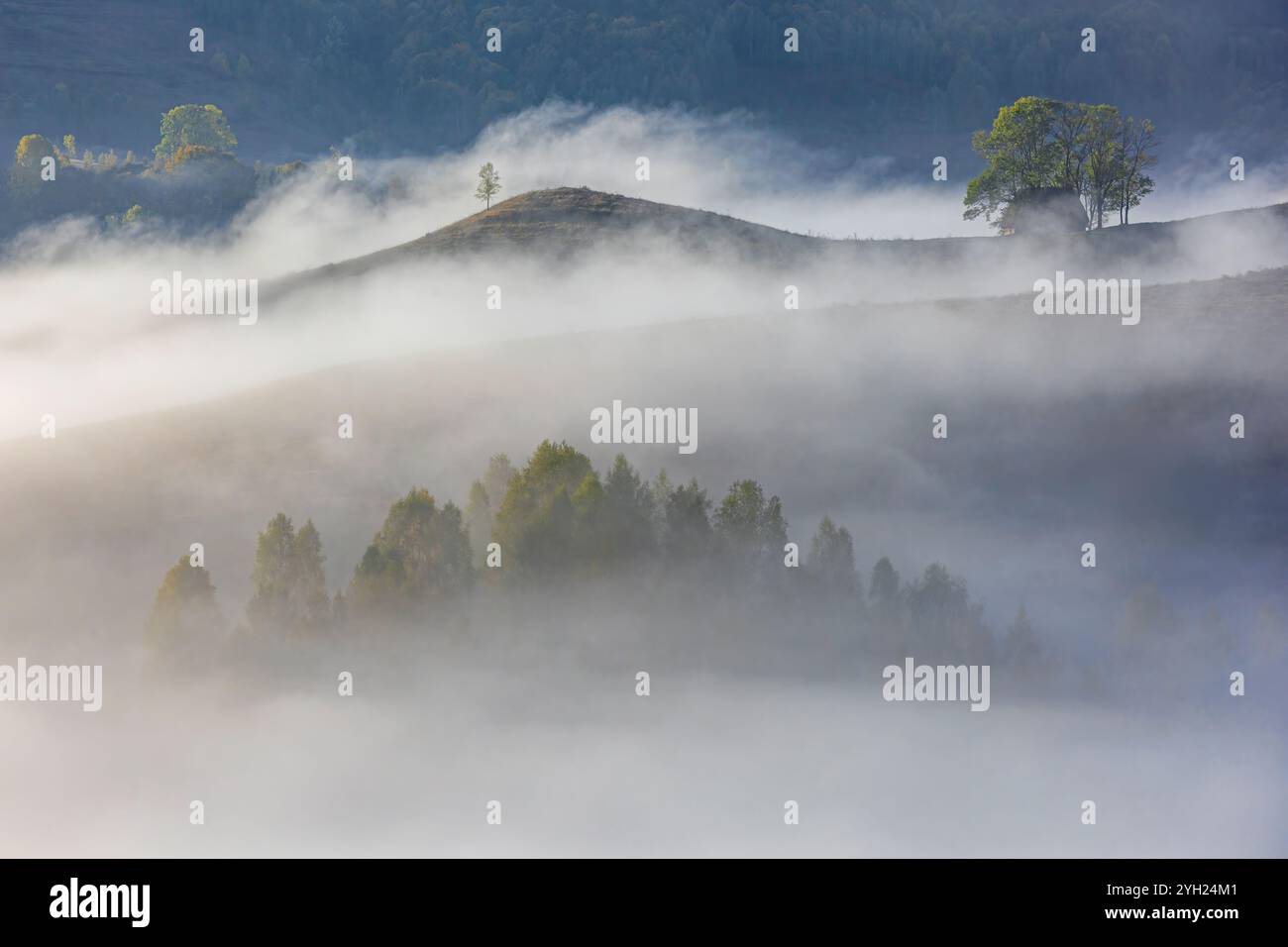 Tôt matin brumeux surpris sur une campagne roumaine en automne. Photo prise le 13 octobre 2024 à Dumesti, région Transylvanie, Roumanie. Banque D'Images