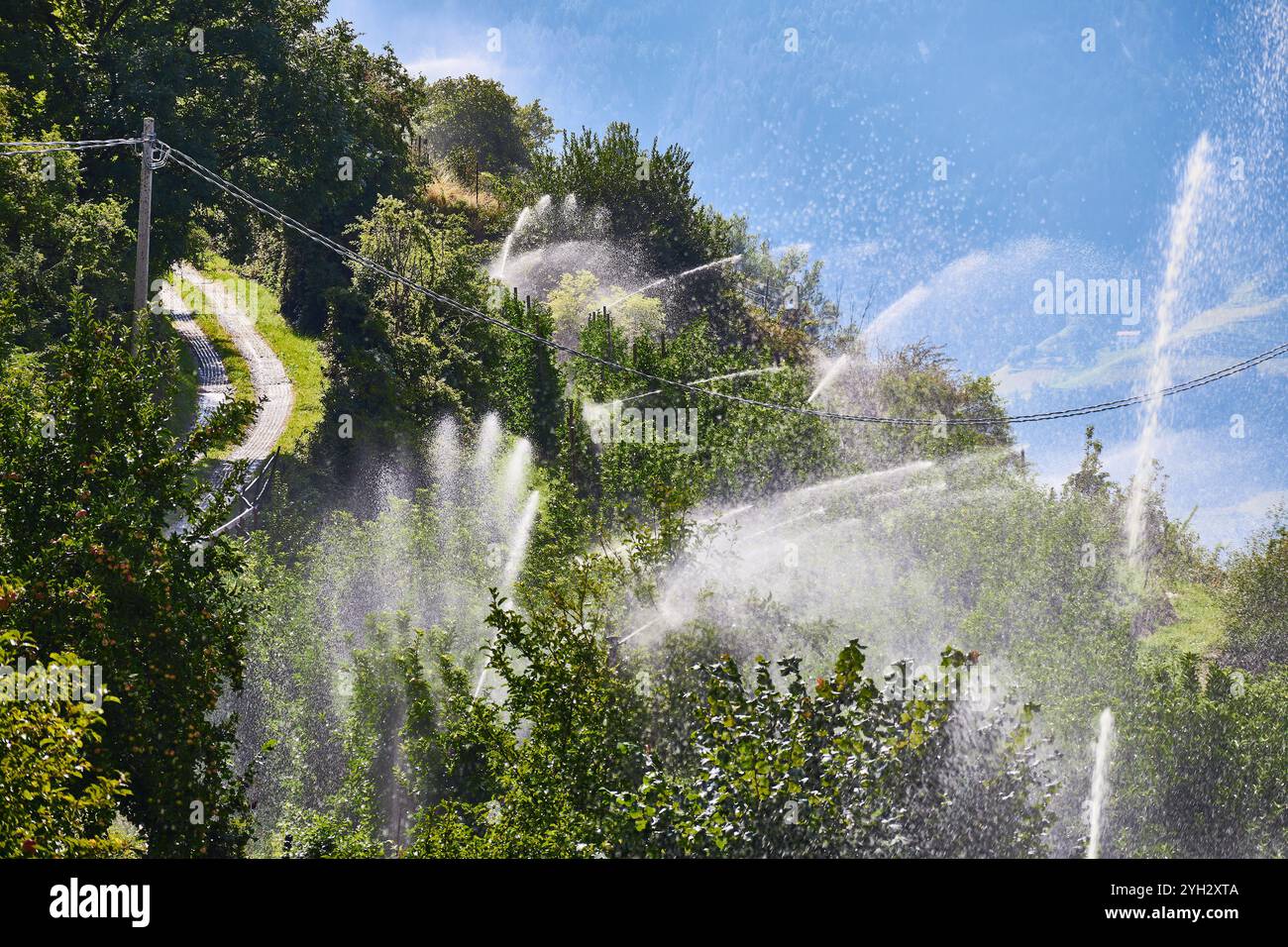 Arroser les vergers de pommiers avec les montagnes au loin à Schluderns, Province de Bolzano, Tyrol du Sud, Italie. Banque D'Images